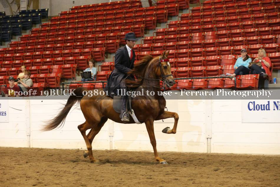Proof 19BUCK_03801