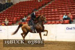 19BUCK_03801 proof