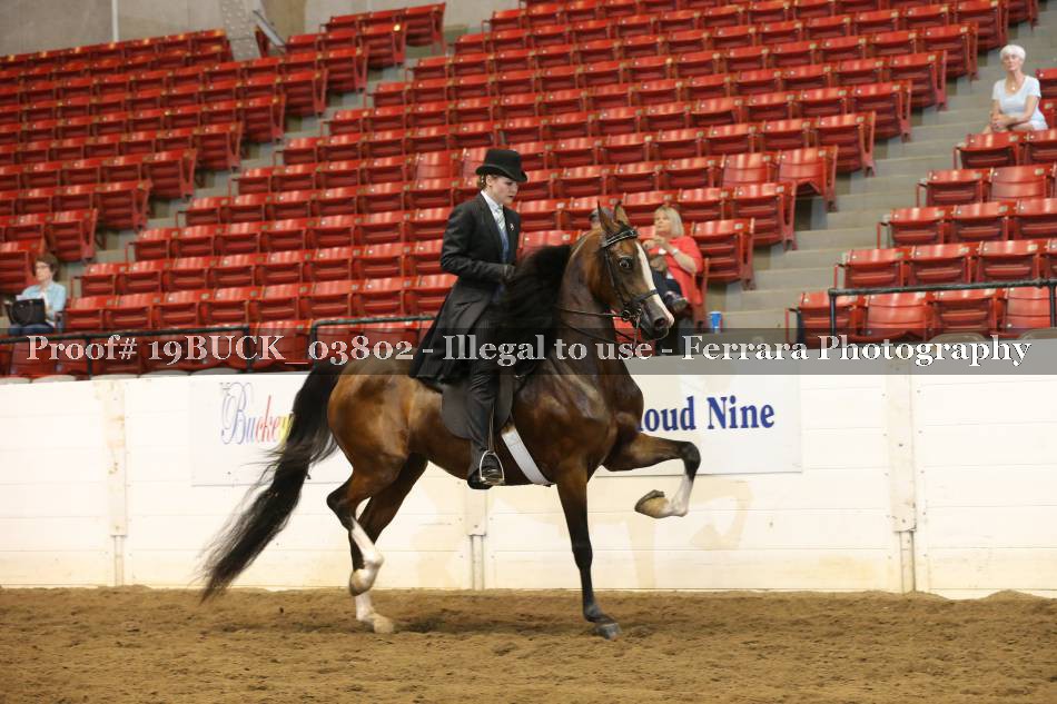 Proof 19BUCK_03802