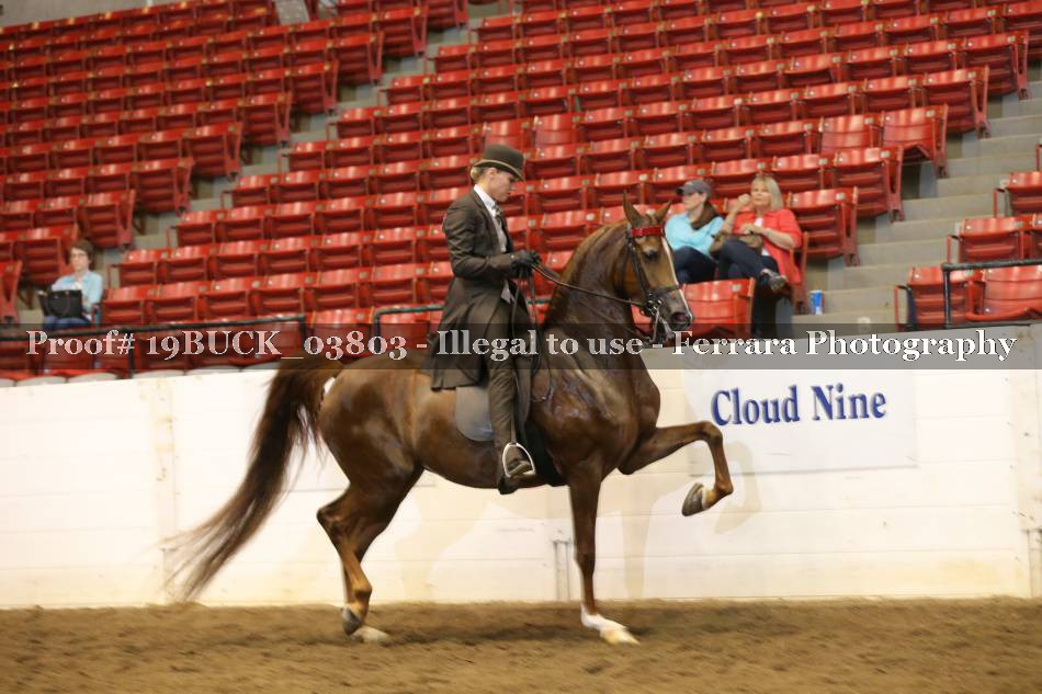 Proof 19BUCK_03803