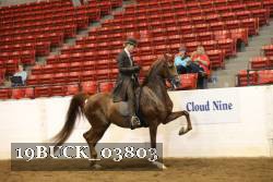 19BUCK_03803 proof