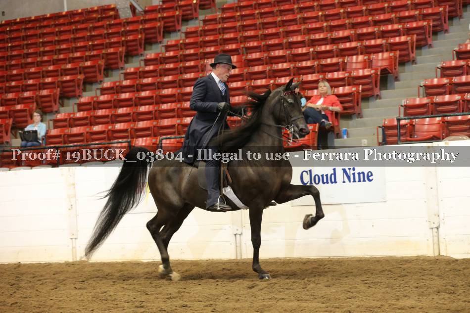 Proof 19BUCK_03804