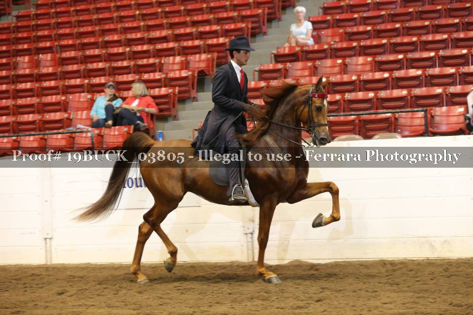 Proof 19BUCK_03805