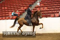 19BUCK_03805 proof