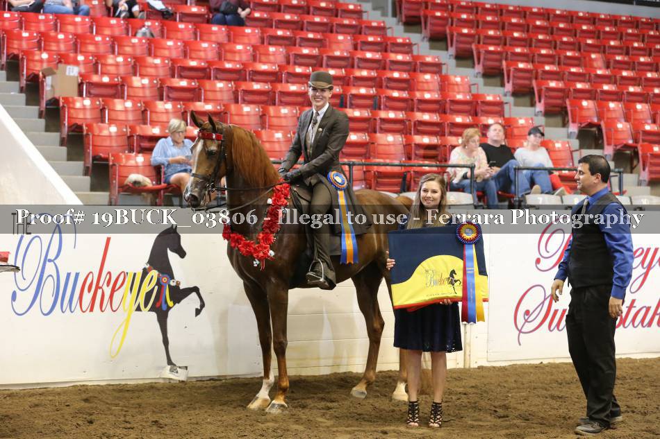 Proof 19BUCK_03806