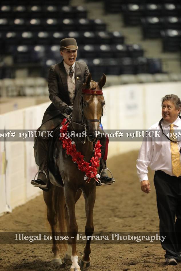 Proof 19BUCK_03808