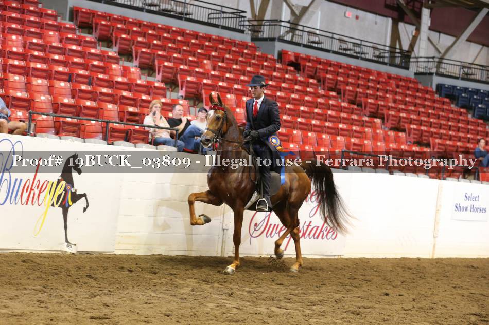 Proof 19BUCK_03809