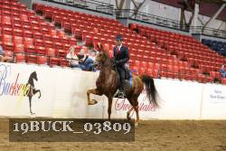 19BUCK_03809 proof