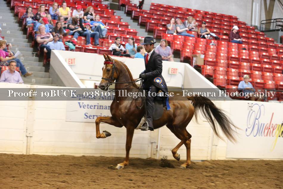 Proof 19BUCK_03810