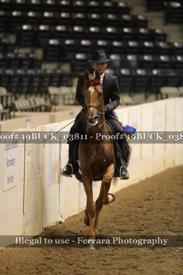 Proof 19BUCK_03811
