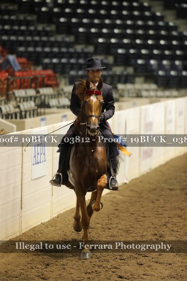 Proof 19BUCK_03812