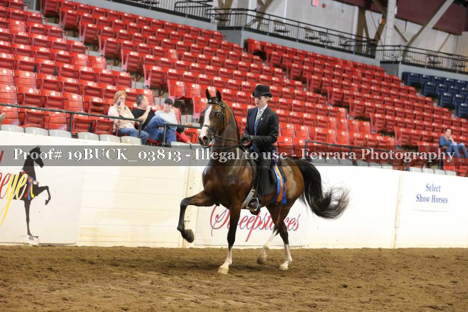 Proof 19BUCK_03813
