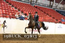 19BUCK_03813 proof