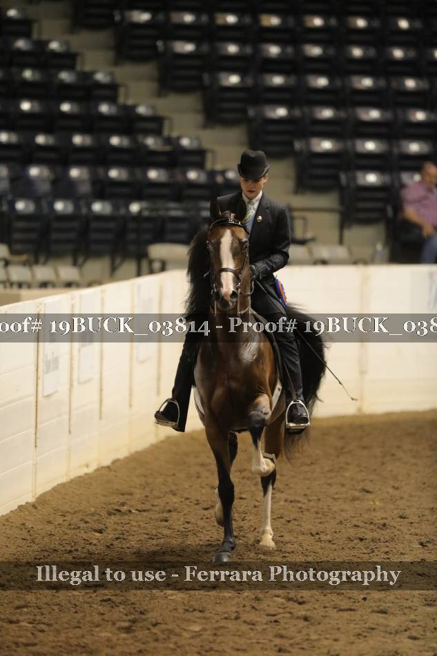 Proof 19BUCK_03814