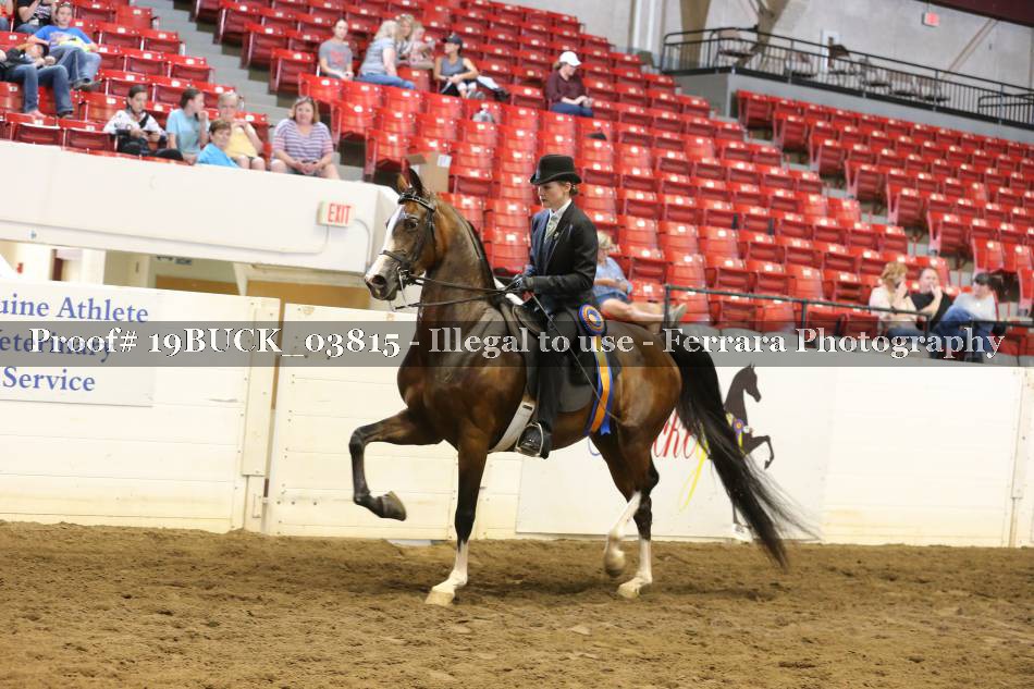 Proof 19BUCK_03815