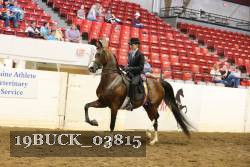 19BUCK_03815 proof