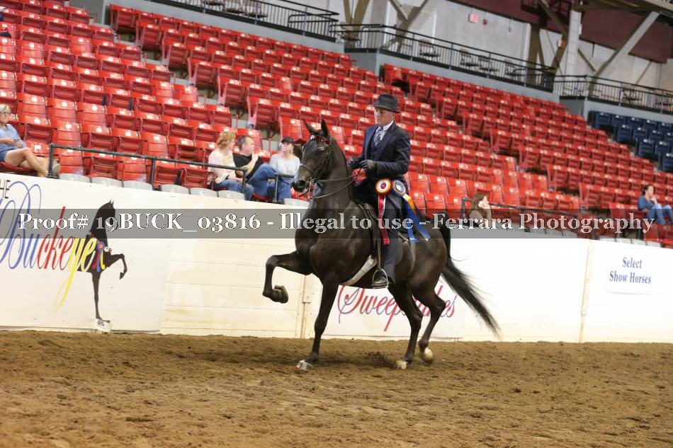 Proof 19BUCK_03816