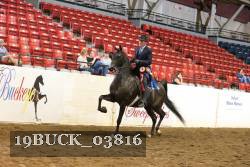 19BUCK_03816 proof