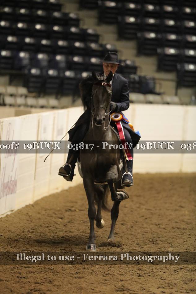 Proof 19BUCK_03817
