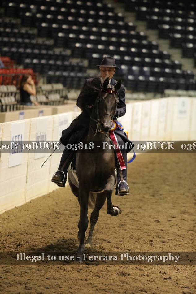 Proof 19BUCK_03818