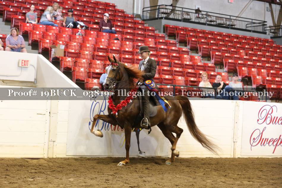 Proof 19BUCK_03819
