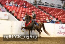 19BUCK_03819 proof