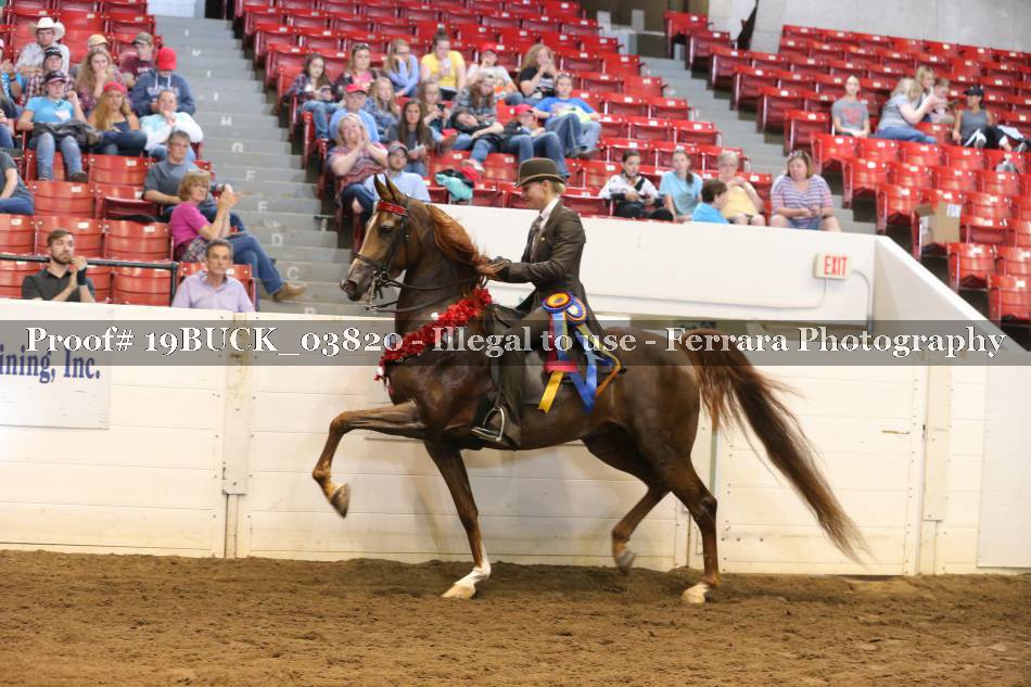 Proof 19BUCK_03820
