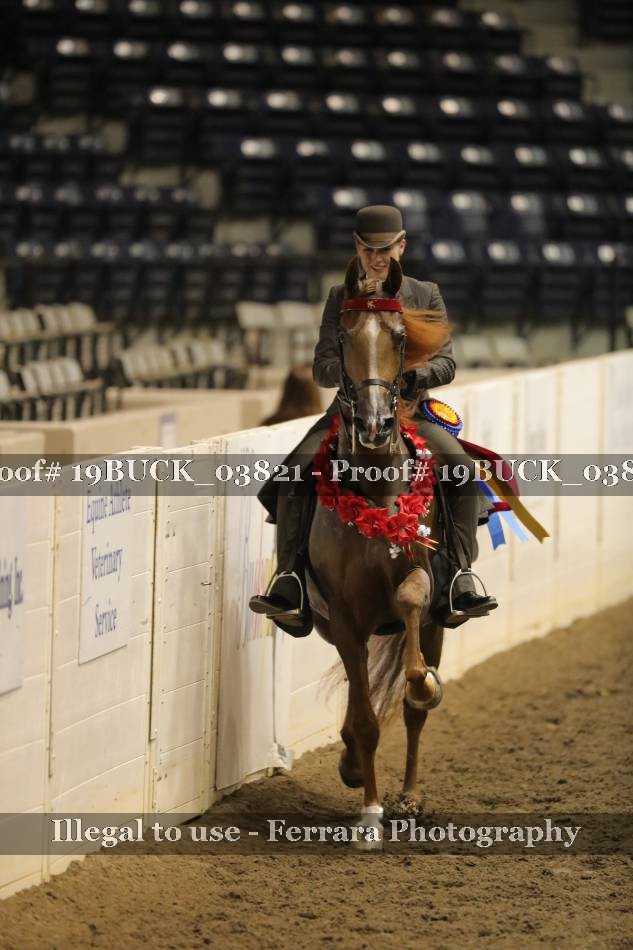Proof 19BUCK_03821