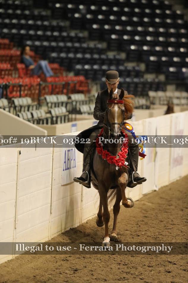 Proof 19BUCK_03822
