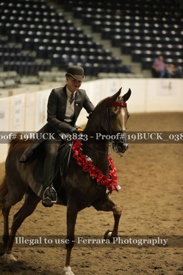 Proof 19BUCK_03823