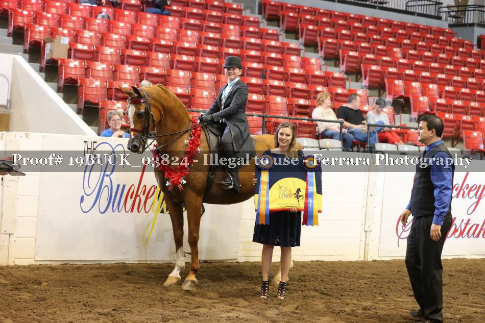 Proof 19BUCK_03824