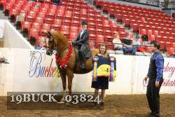 19BUCK_03824 proof
