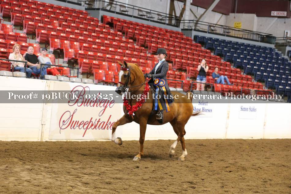 Proof 19BUCK_03825