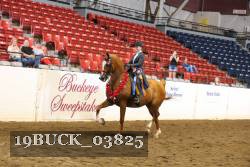 19BUCK_03825 proof