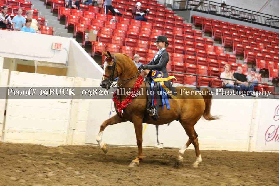 Proof 19BUCK_03826