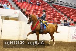 19BUCK_03826 proof