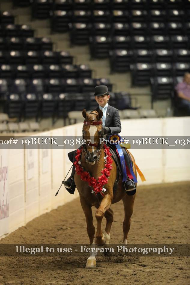 Proof 19BUCK_03827