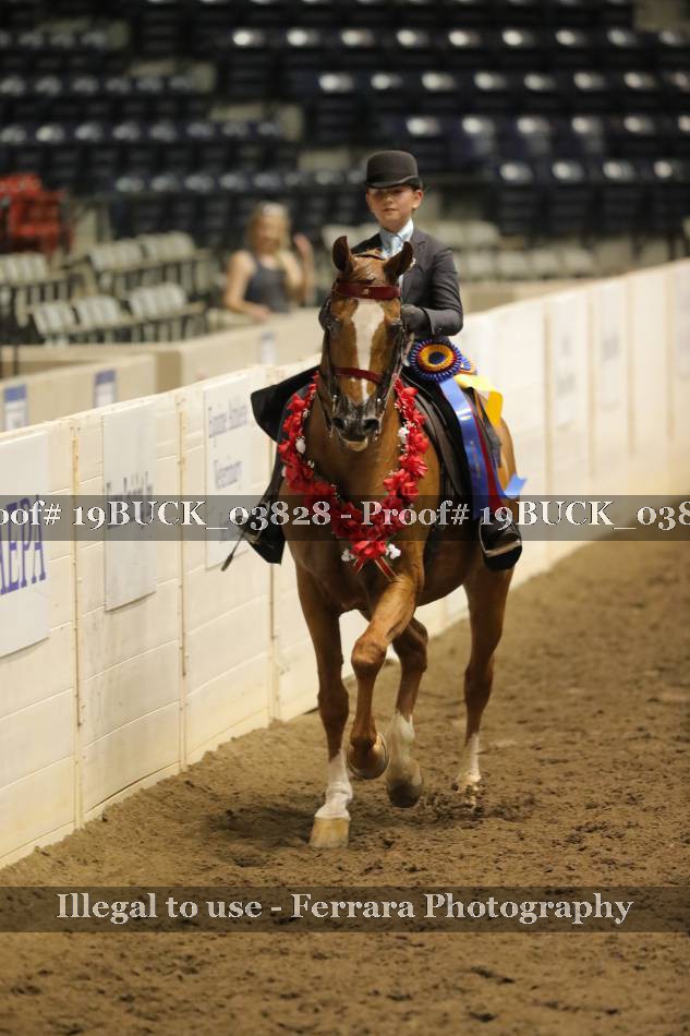 Proof 19BUCK_03828