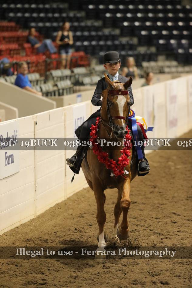 Proof 19BUCK_03829