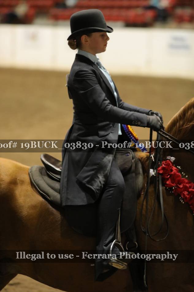 Proof 19BUCK_03830