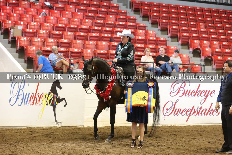 Proof 19BUCK_03831