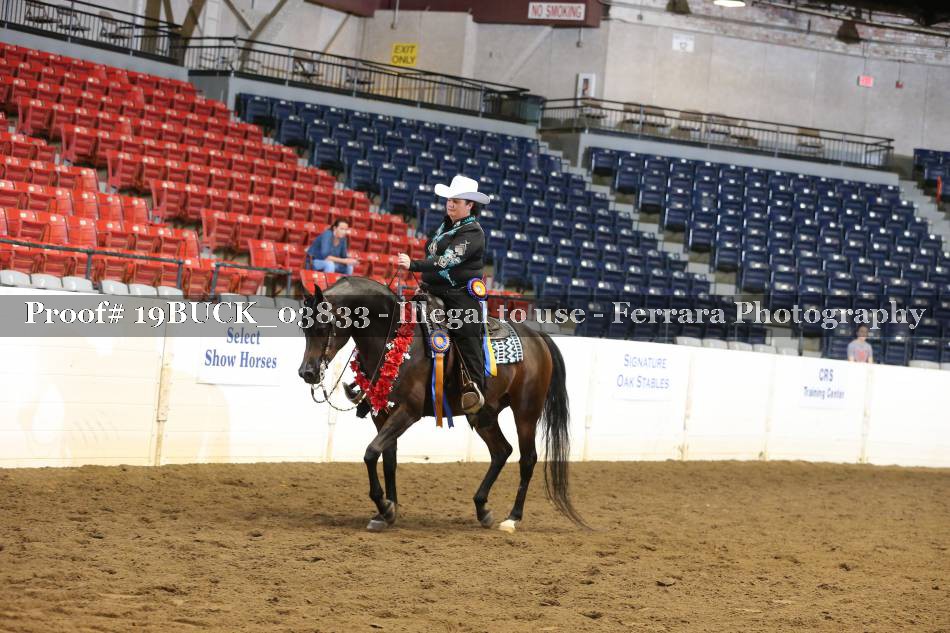 Proof 19BUCK_03833