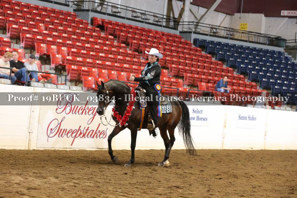 Proof 19BUCK_03834