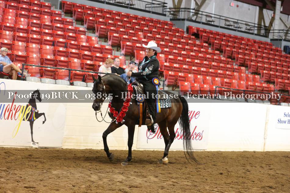 Proof 19BUCK_03835