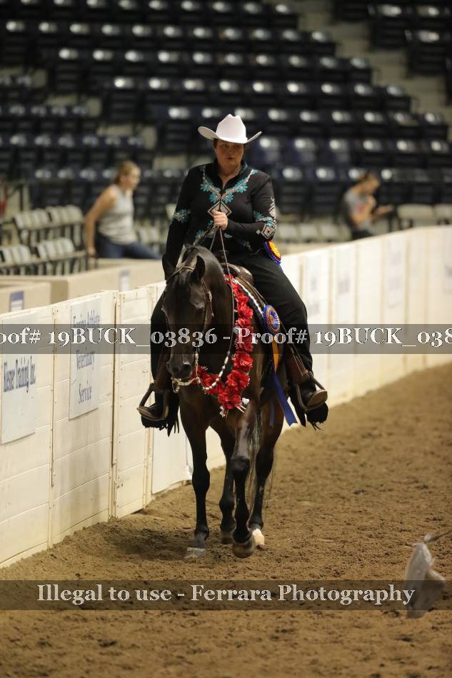 Proof 19BUCK_03836