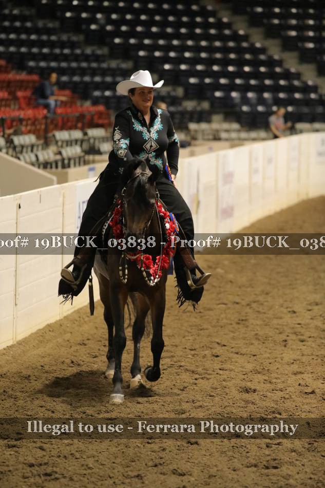 Proof 19BUCK_03838