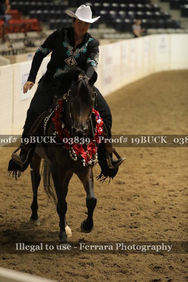 Proof 19BUCK_03839