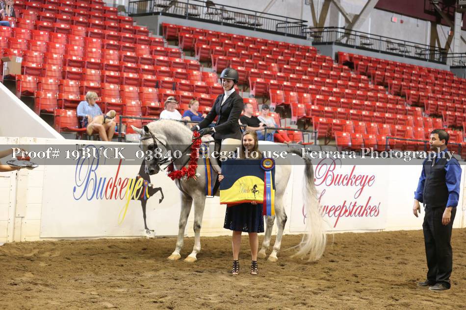 Proof 19BUCK_03840