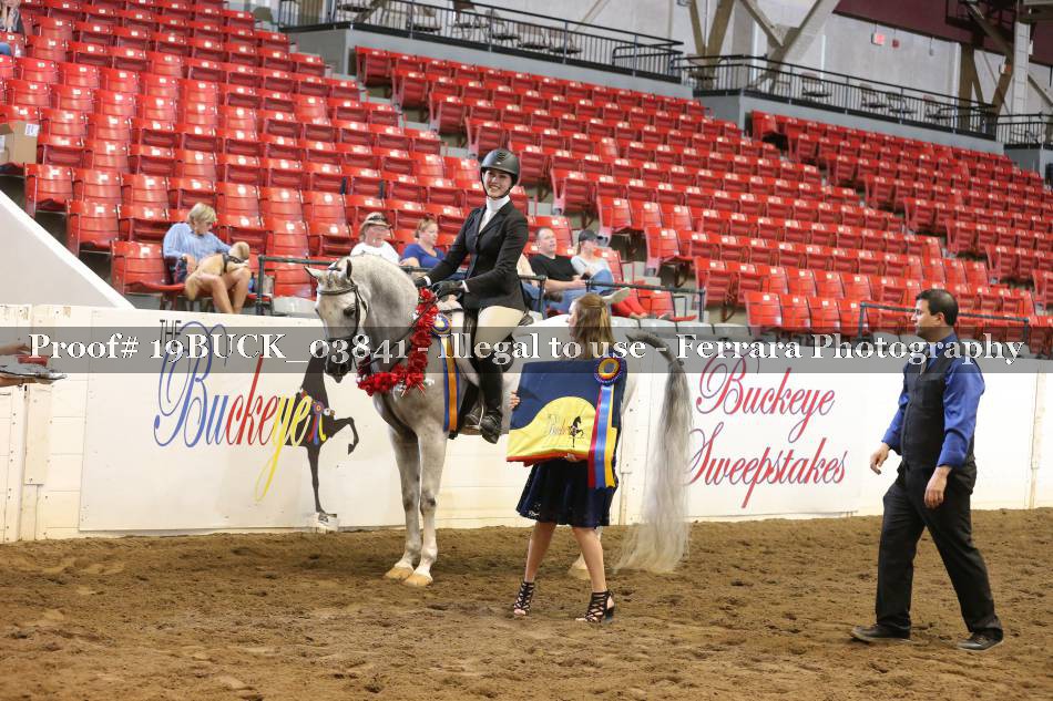 Proof 19BUCK_03841