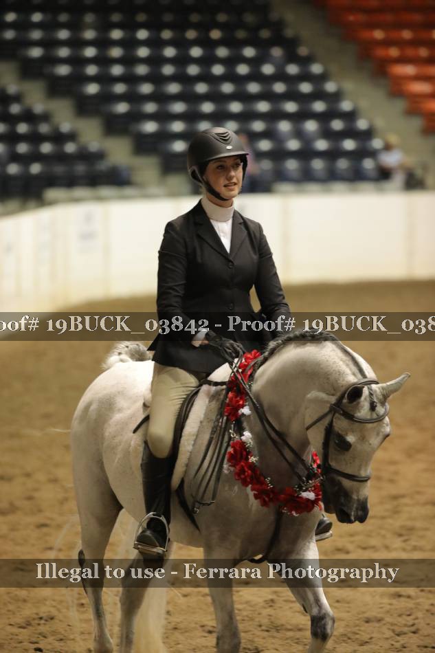 Proof 19BUCK_03842
